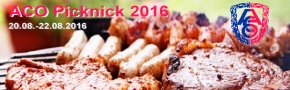 Traditionelles Picknick ACO 2016
